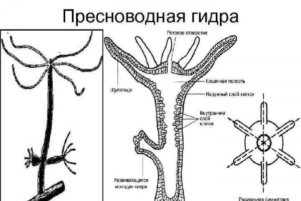 Блэкспрут 1blacksprut me